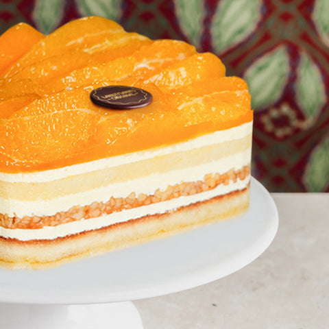 Winterorangen Torte