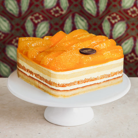 Winterorangen Torte